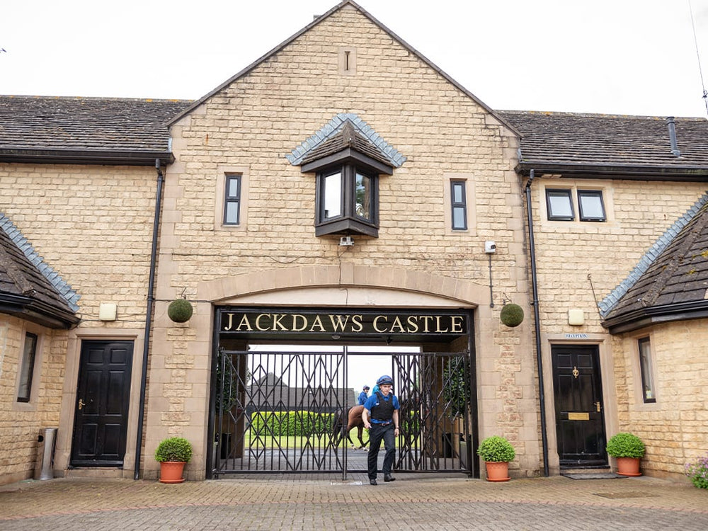 
                  
                    IJF Lot 8 Jack Daw's Castle Tour
                  
                